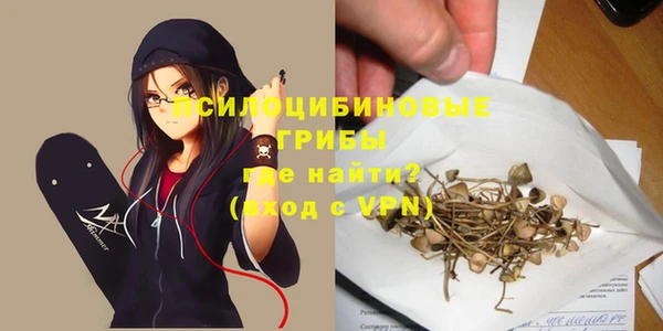 spice Абаза