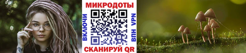 Галлюциногенные грибы Magic Shrooms дарк нет как зайти Пыталово наркота
