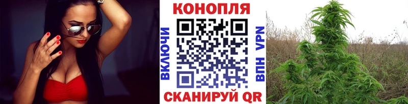 Марихуана Bruce Banner Пыталово
